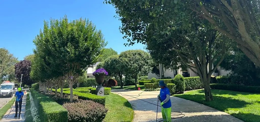 Residential Pressure Washing in New Jersey by Clarke Service Pro