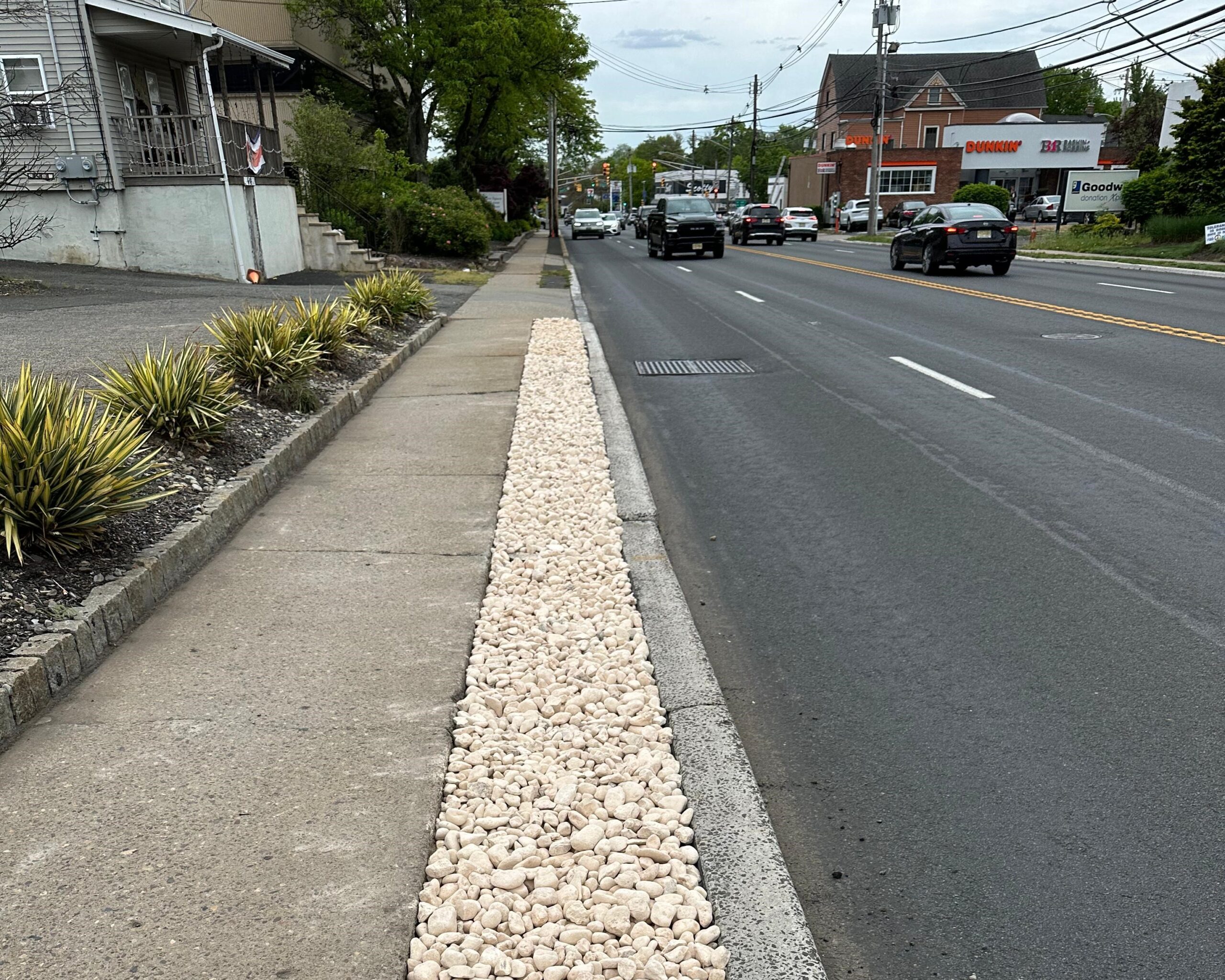 A road lined with white rocks filled with clarkes professional
